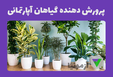 نمونه سوالات پرورش دهنده گیاهان آپارتمانی